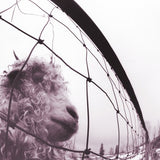 Pearl Jams. Vs: 1993 (30th Anniversary Edition) 45 RPM Mastered (Double 180 Gram Vinyl LP) 2023 Release Date: 11/17/2023