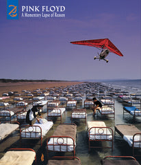 Pink Floyd: A Momentary Lapse Of Reason 1987 (CD/Blu-ray) HiRES Audio 5.1 2021 Release Date: 10/29/2021