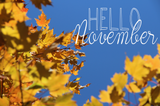 "HELLO NOVEMBER" UP TO 70% OFF ALL PRODUCTS PLUS 15% Off-AUTO DISCOUNT AT CHECKOUT ORDERS OVER $60.00+