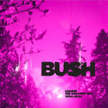 Bush: Loaded: The Greatest Hits 1994-2023 (Silver 2 LPS) 2023 Release Date: 11/10/2023 2 CDS Also Avail