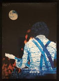 Jack White: Live Bonnaroo Music Arts Festival Great Stage Park  Manchester Tennessee 2014 (DVD) 26 Live Performances RARE