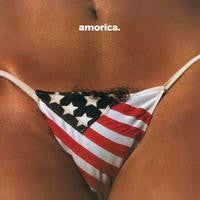 The Black Crowes: Amorica 1994 Double (2 LP Vinyl) 2015 Release Date: 12/18/2015