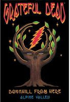 The Grateful Dead: Downhill From Here 1989 Alpine Valley Theater DVD Remastered 2013 16:9 Dolby Digital