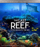 Imax The Last Reef: Cities Beneath the Sea 4k Ultra HD Blu-ray Digital & 3D Blu-ray 2PC 2016 Release Date 9/13/16