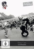 Stray Cats: Live At The Rockpalast Germany 1981  (2 CD/DVD) 2015 Dolby Digital Import Region Free 07-07-15 Release Date