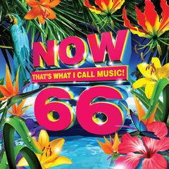 Now 66: Various Artists 66TH Now Series CD 2018 Release Date: 5/4/2018