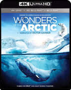 Imax: Wonders of the Arctic 4K Ultra HD Blu-ray Digital & 3D Blu-ray 2PC 2016 Release Date 9/13/2016